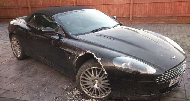 Собака съела Aston Martin DB9   