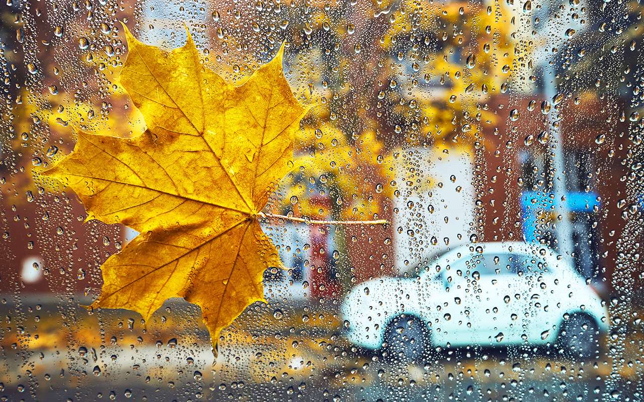 11 факторов, о которых водителю надо помнить осенью — фото 990887
