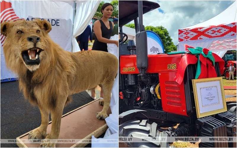 Лукашенко подарил президенту Зимбабве трактор. А тот в ответ — чучело льва