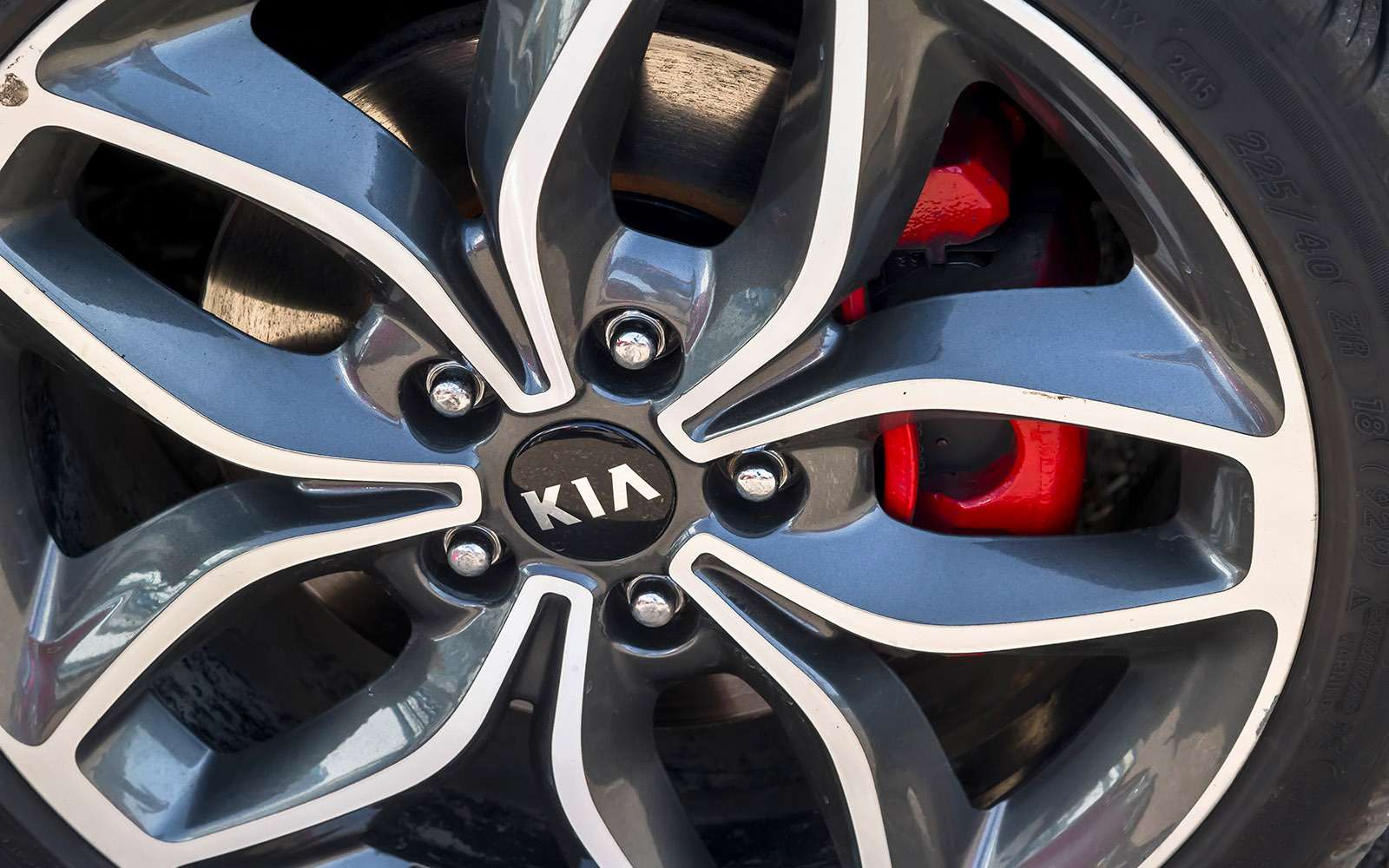 Skoda Octavia против конкурентов из Audi и Kia: кольцо для троих — фото 768715