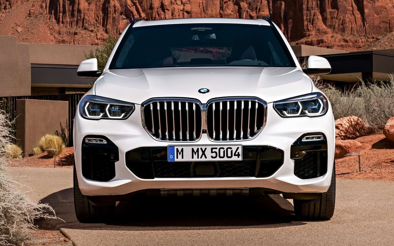 Новый BMW X5: приборная революция! — фото 876641